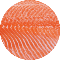 New Zealand King Salmon - Omega Plus NZ pet food