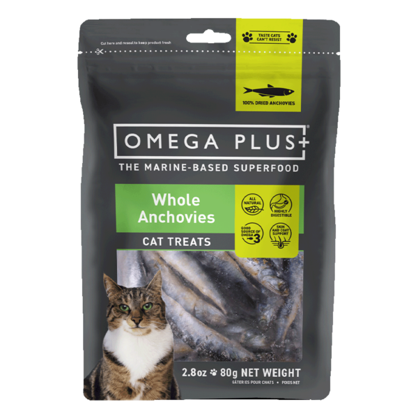 Whole Anchovies