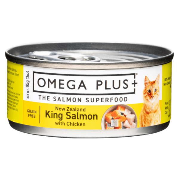 King Salmon with Chicken