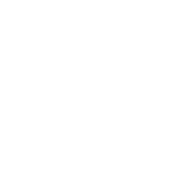 Skin and coat support